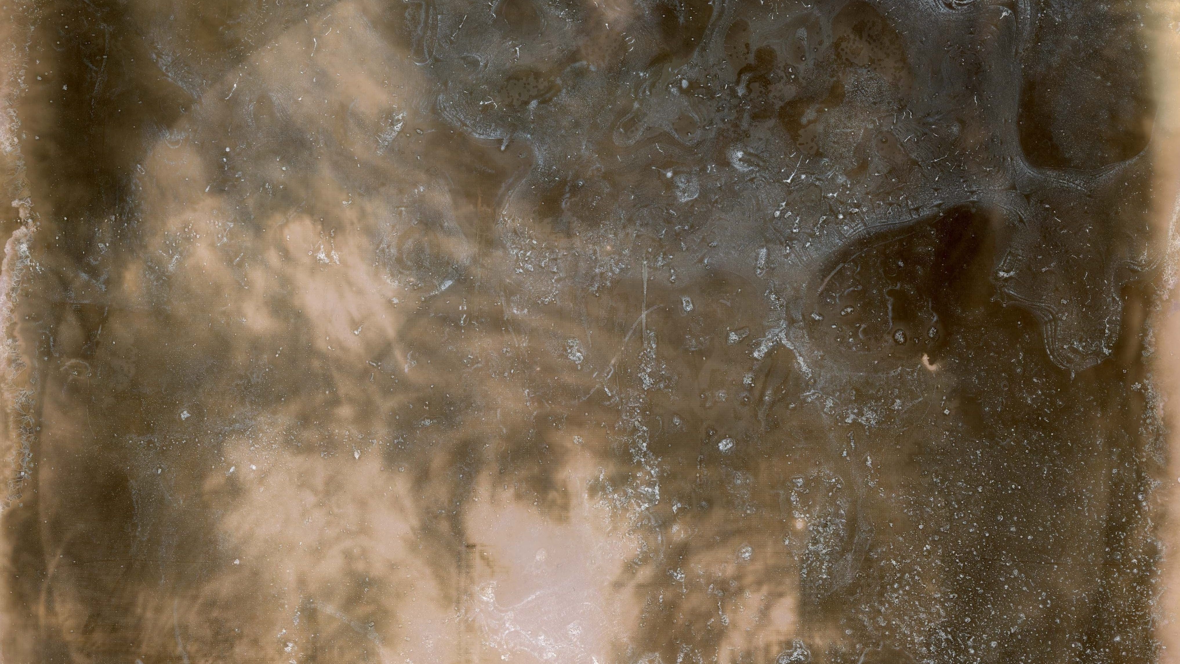 This image has an empty alt attribute; its file name is Crystallizing-Vision-Loss-12-edited-4.jpg